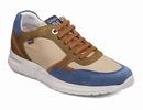 Blauw Beige Groen